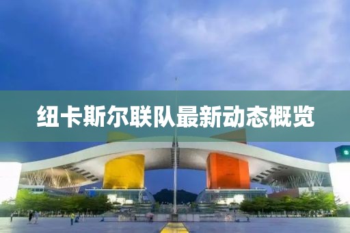 紐卡斯爾聯(lián)隊最新動態(tài)概覽