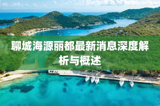 聊城海源麗都最新消息深度解析與概述