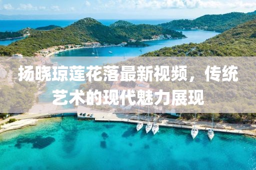 揚曉瓊蓮花落最新視頻，傳統(tǒng)藝術(shù)的現(xiàn)代魅力展現(xiàn)