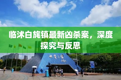 臨沭白旄鎮(zhèn)最新兇殺案，深度探究與反思
