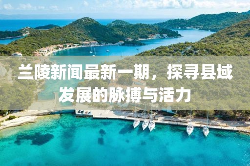 蘭陵新聞最新一期，探尋縣域發(fā)展的脈搏與活力