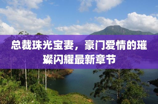 總裁珠光寶妻，豪門愛情的璀璨閃耀最新章節(jié)