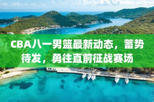 CBA八一男籃最新動(dòng)態(tài)，蓄勢待發(fā)，勇往直前征戰(zhàn)賽場