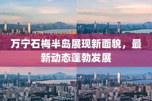 萬寧石梅半島展現(xiàn)新面貌，最新動態(tài)蓬勃發(fā)展