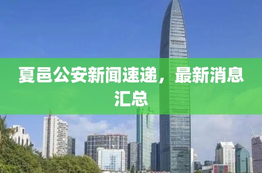 夏邑公安新聞速遞，最新消息匯總