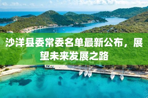 沙洋縣委常委名單最新公布，展望未來(lái)發(fā)展之路