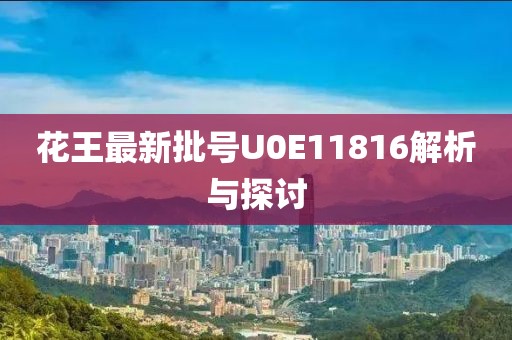 花王最新批號U0E11816解析與探討