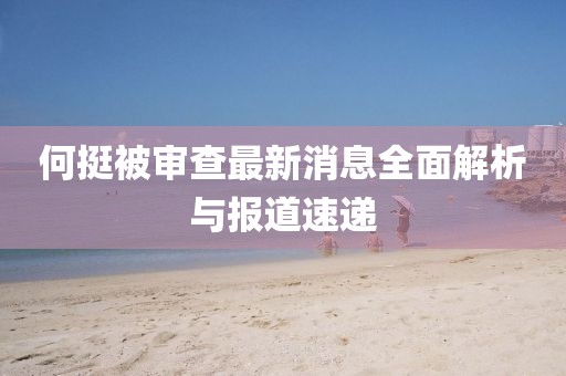 何挺被審查最新消息全面解析與報道速遞
