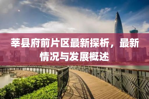 莘縣府前片區(qū)最新探析，最新情況與發(fā)展概述