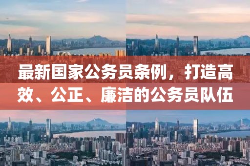 最新國家公務(wù)員條例，打造高效、公正、廉潔的公務(wù)員隊伍
