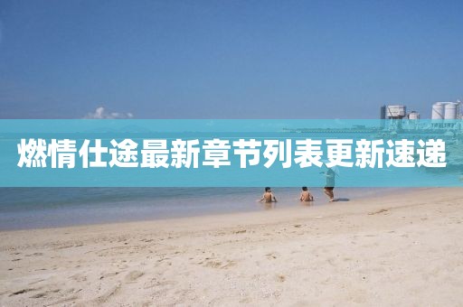 燃情仕途最新章節(jié)列表更新速遞