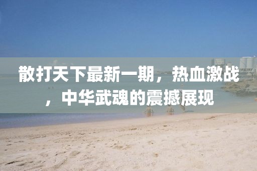 散打天下最新一期，熱血激戰(zhàn)，中華武魂的震撼展現(xiàn)