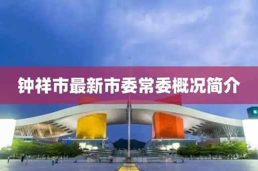 鐘祥市最新市委常委概況簡(jiǎn)介