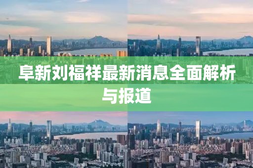 阜新劉福祥最新消息全面解析與報(bào)道