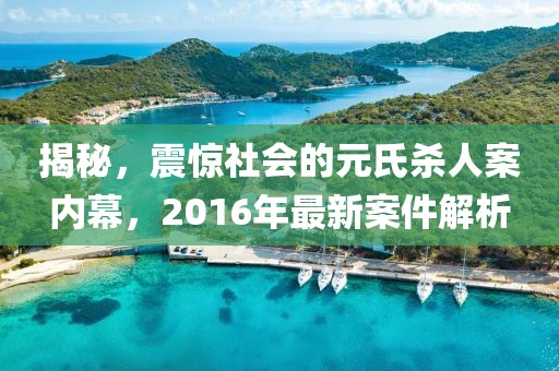 揭秘，震驚社會(huì)的元氏殺人案內(nèi)幕，2016年最新案件解析