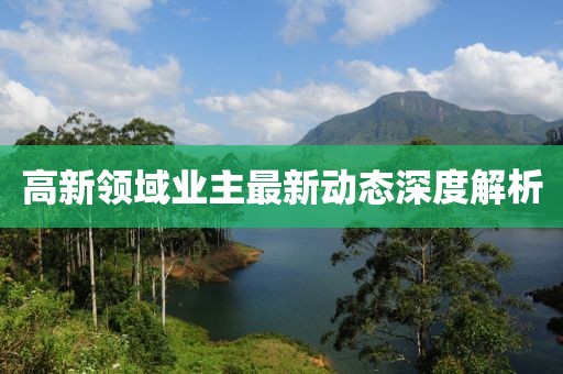 高新領(lǐng)域業(yè)主最新動(dòng)態(tài)深度解析