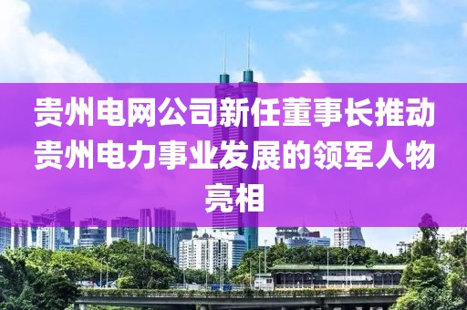 貴州電網(wǎng)公司新任董事長推動貴州電力事業(yè)發(fā)展的領軍人物亮相