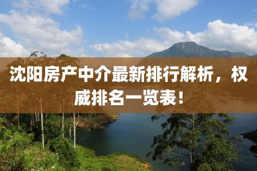 沈陽(yáng)房產(chǎn)中介最新排行解析，權(quán)威排名一覽表！