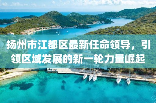 揚(yáng)州市江都區(qū)最新任命領(lǐng)導(dǎo)，引領(lǐng)區(qū)域發(fā)展的新一輪力量崛起