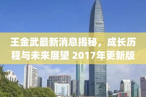 王金武最新消息揭秘，成長歷程與未來展望 2017年更新版