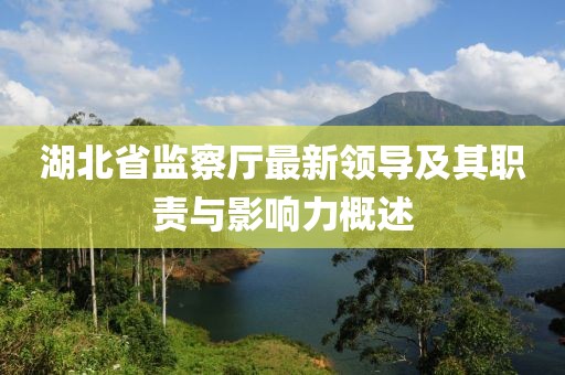 湖北省監(jiān)察廳最新領(lǐng)導(dǎo)及其職責(zé)與影響力概述