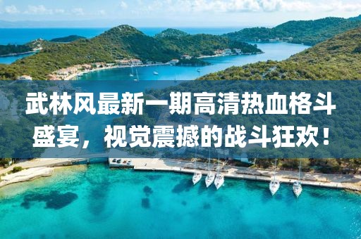 武林風最新一期高清熱血格斗盛宴，視覺震撼的戰(zhàn)斗狂歡！