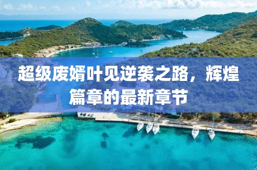 超級廢婿葉見逆襲之路，輝煌篇章的最新章節(jié)