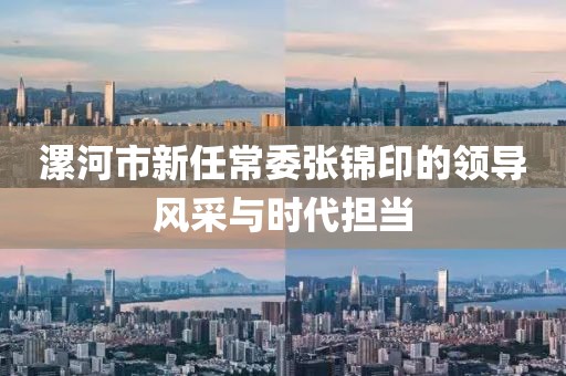漯河市新任常委張錦印的領(lǐng)導(dǎo)風(fēng)采與時代擔(dān)當(dāng)