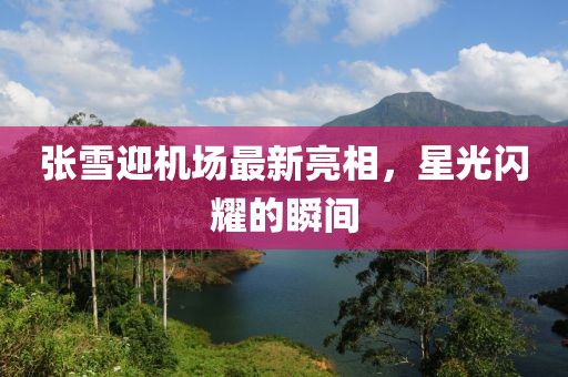 張雪迎機(jī)場(chǎng)最新亮相，星光閃耀的瞬間