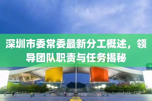 深圳市委常委最新分工概述，領(lǐng)導(dǎo)團隊職責(zé)與任務(wù)揭秘
