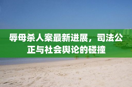 辱母殺人案最新進(jìn)展，司法公正與社會輿論的碰撞