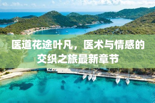 醫(yī)道花途葉凡，醫(yī)術(shù)與情感的交織之旅最新章節(jié)