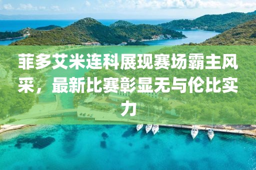 菲多艾米連科展現(xiàn)賽場霸主風采，最新比賽彰顯無與倫比實力