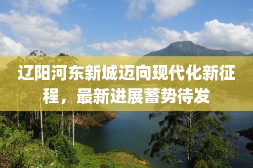 遼陽河東新城邁向現(xiàn)代化新征程，最新進展蓄勢待發(fā)