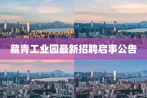 藏青工業(yè)園最新招聘啟事公告