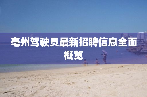 亳州駕駛員最新招聘信息全面概覽