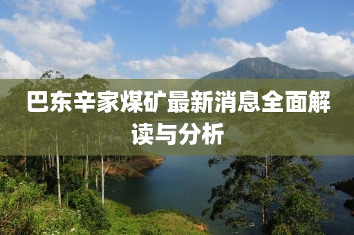 巴東辛家煤礦最新消息全面解讀與分析