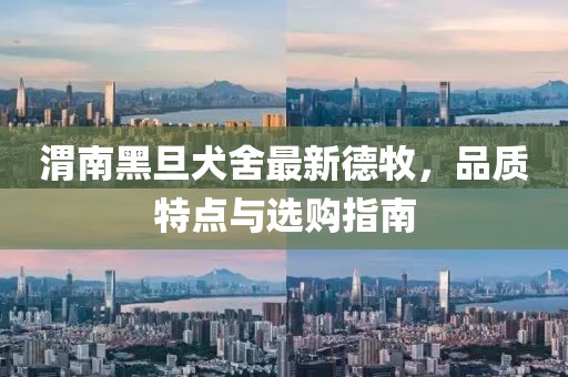 渭南黑旦犬舍最新德牧，品質(zhì)特點與選購指南