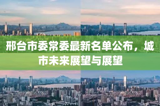 邢臺(tái)市委常委最新名單公布，城市未來(lái)展望與展望