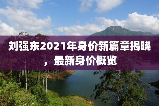 劉強東2021年身價新篇章揭曉，最新身價概覽