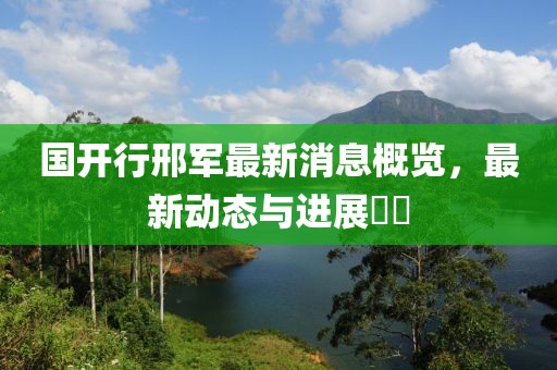 國開行邢軍最新消息概覽，最新動態(tài)與進(jìn)展??