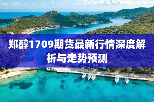 鄭醇1709期貨最新行情深度解析與走勢預(yù)測