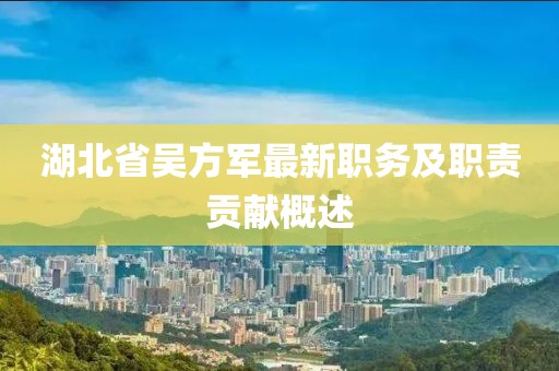 湖北省吳方軍最新職務(wù)及職責(zé)貢獻概述