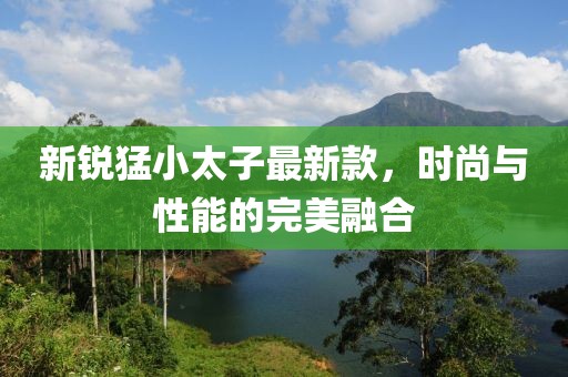新銳猛小太子最新款，時(shí)尚與性能的完美融合