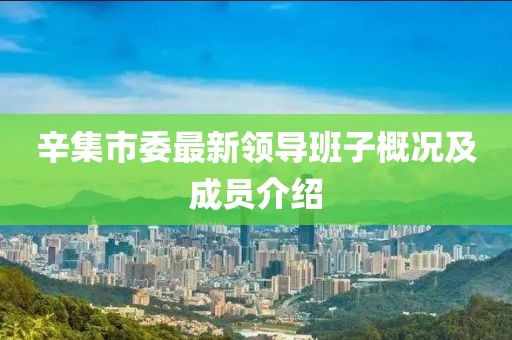 辛集市委最新領(lǐng)導(dǎo)班子概況及成員介紹