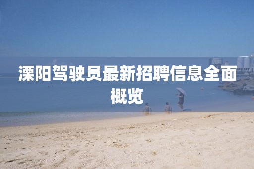 溧陽(yáng)駕駛員最新招聘信息全面概覽