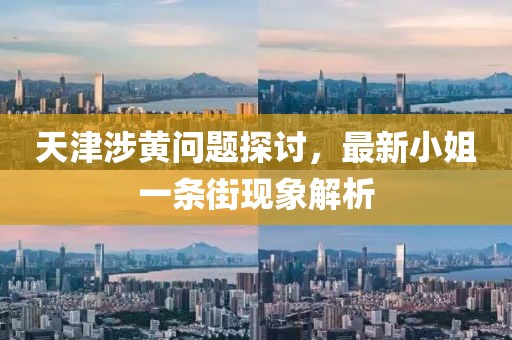 天津涉黃問(wèn)題探討，最新小姐一條街現(xiàn)象解析