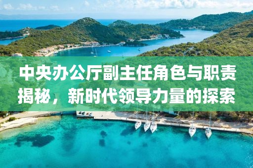 中央辦公廳副主任角色與職責揭秘，新時代領(lǐng)導(dǎo)力量的探索