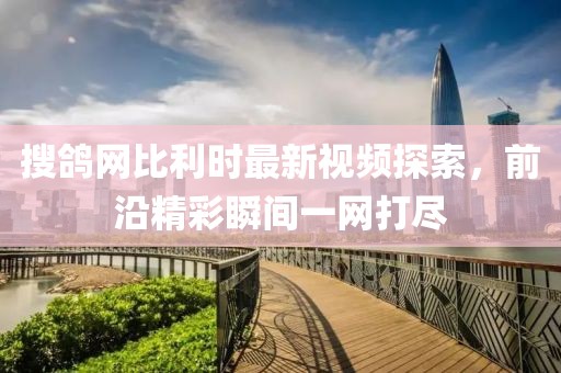 搜鴿網(wǎng)比利時(shí)最新視頻探索，前沿精彩瞬間一網(wǎng)打盡