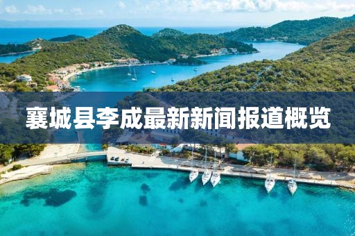 襄城縣李成最新新聞報(bào)道概覽